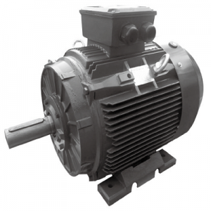 T3C 315L2-6 AC Induction Motor TECHTOP