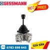 Bộ điều khiển đa trục V6/VV6 Gessmann