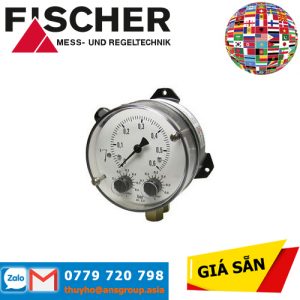 DS21050A22A10W00 Fischer Vietnam