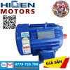 Đại lý Higen Motor Vietnam,I01HK1HDD2 Higen Motor Vietnam,Motor ,Higen Motor Vietnam,I01HK1HDD2 Higen Motor,: I01HK1HDD2,Motor 0.75kW